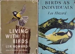 中提琴手 關刀臉 02