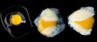 ㄟ肥 這個先生 05