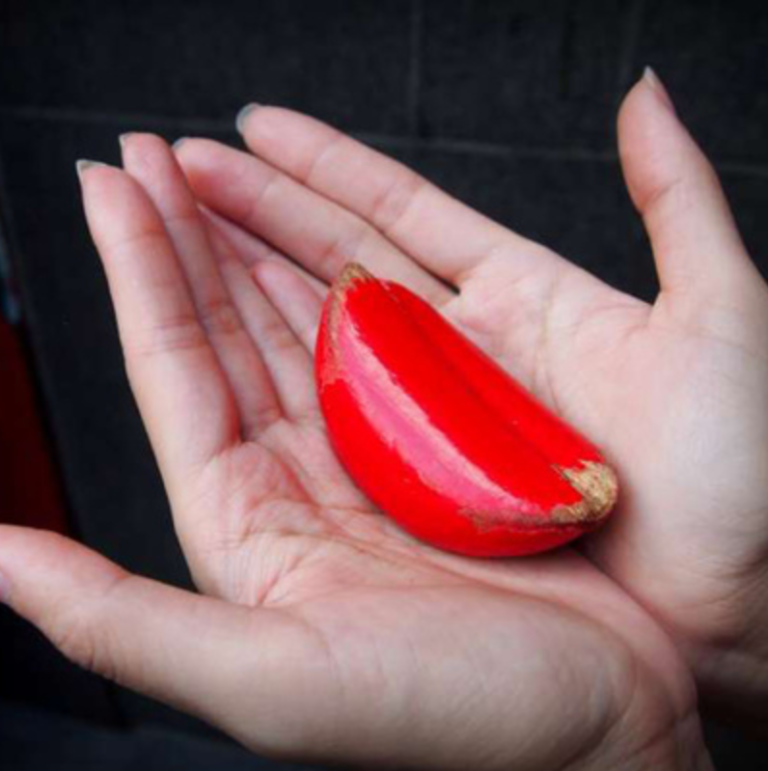 191 博士閒聊：求編問卜