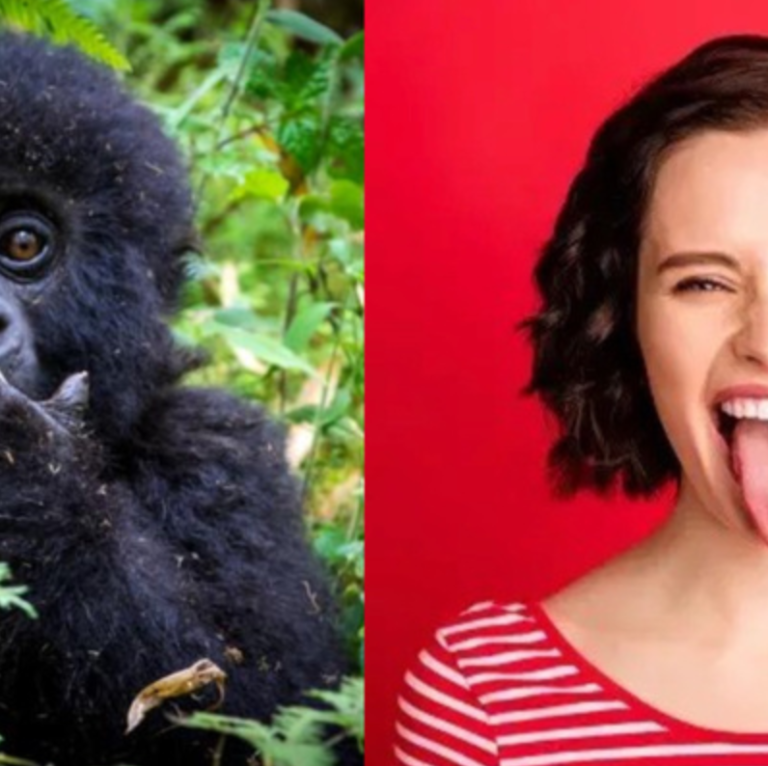 288 科學亂講：命運多乖的山地大猩猩 v.s. 舌頭的妙用